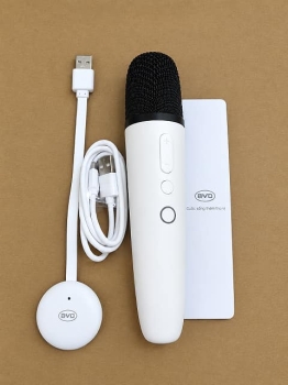 Mic hát Karaoke nguyên bản BYD Sealion 5